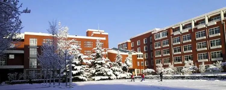 清华大学附属中学国际部