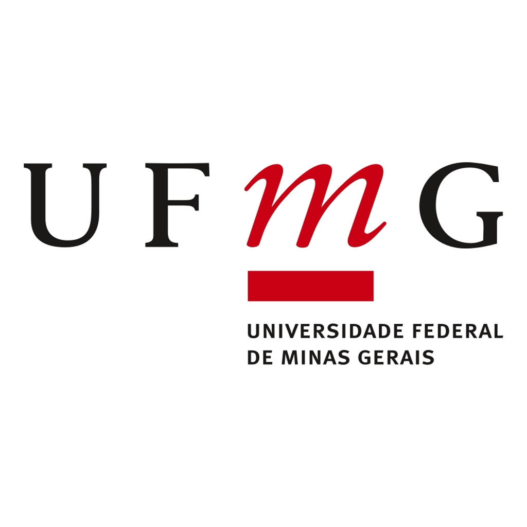 米纳斯联邦大学