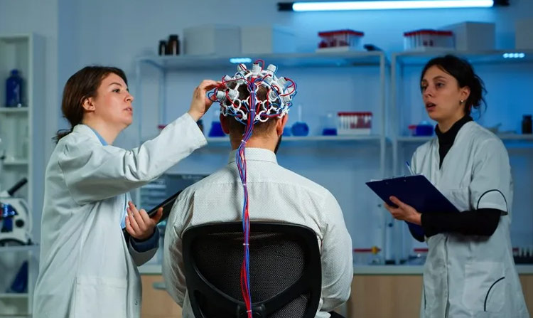 Brain Bee脑科学大赛
