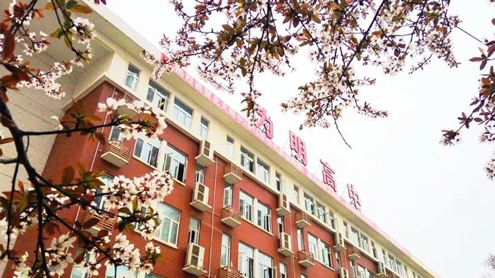 武汉为明高级中学国际部