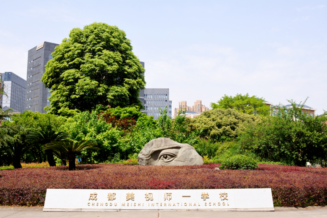 成都美视师一学校