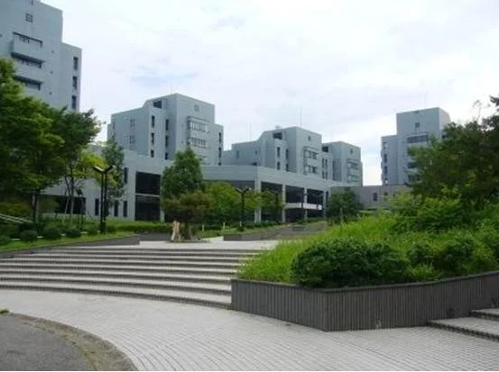 北陆先端科学技术大学院大学 北陆先端科学技术大学院大学
