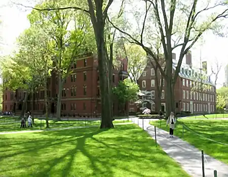 韦德纳大学