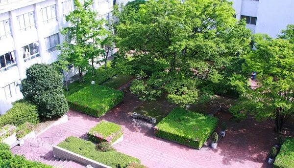 千里金兰大学 千里金兰大学