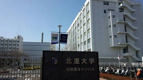 北里大学