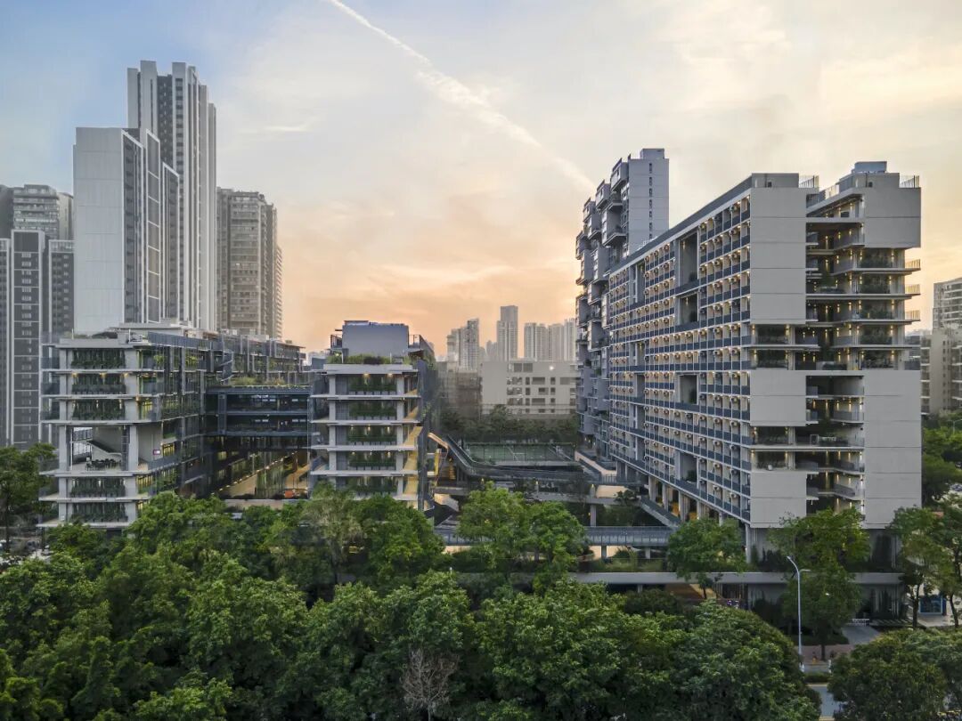 深圳国际交流书院