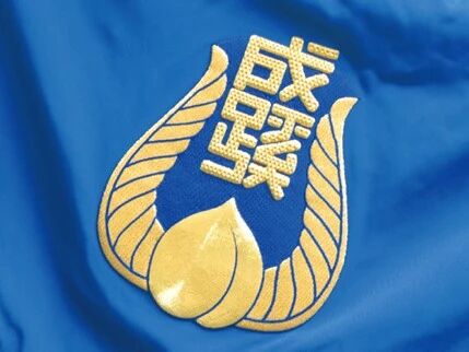 成蹊大学 成蹊大学