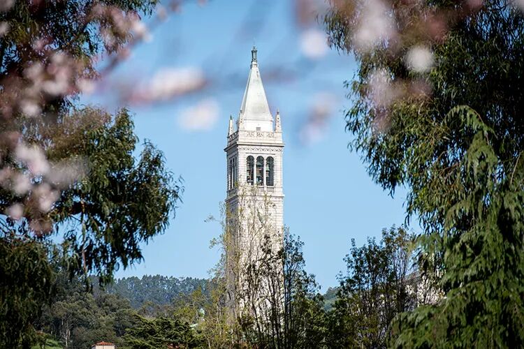 U.S.News2026全美最佳公立大学排名：UC系加州大学集体闪耀