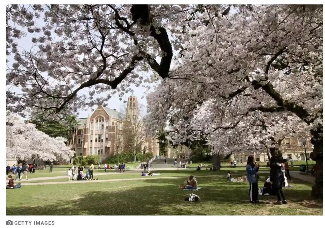 2026跨学科科学排名：MIT 继续领跑，亚洲高校强势崛起！