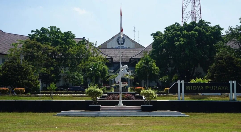 迪波内戈罗大学