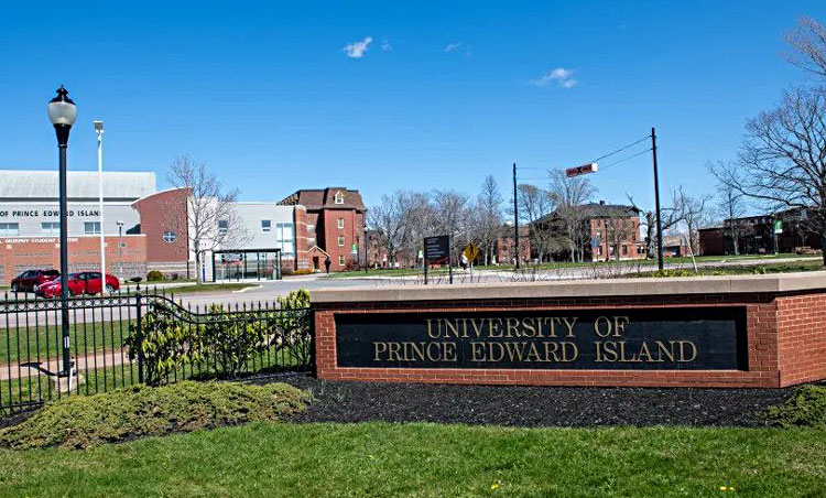 爱德华王子岛大学
