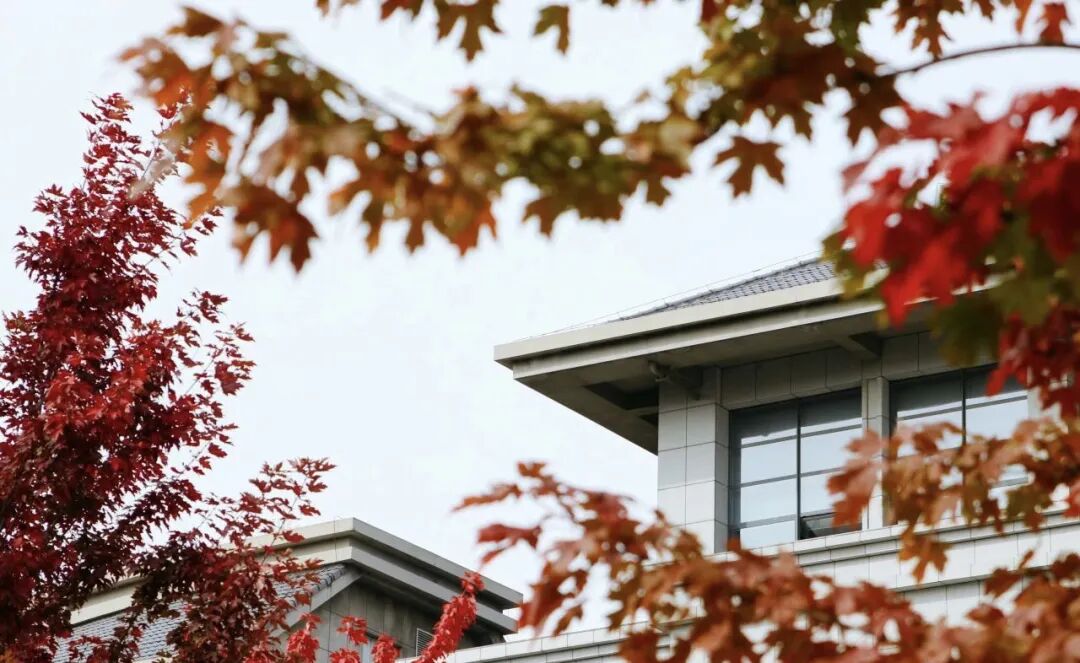 哈尔滨工程大学A Level 国际课程