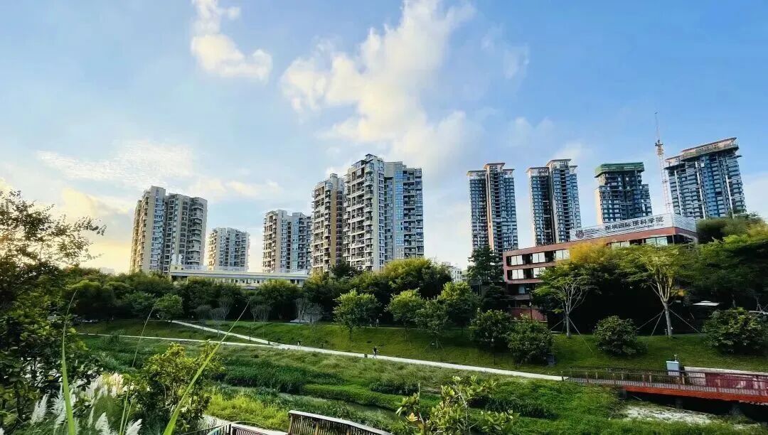 深圳IPC国际校区