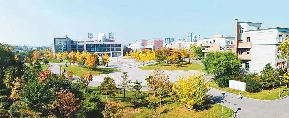 东北育才实验学校国际高中部