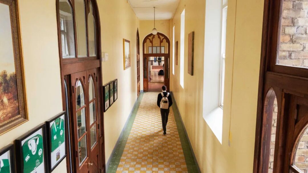 爱尔兰CAO申请数据：兽医专业申请暴涨，人文专业逆袭