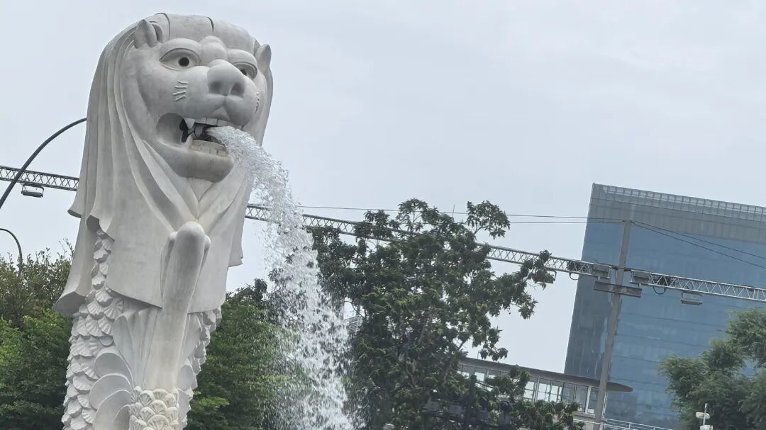 新加坡AEIS考试通关攻略：考试题型、要求、备考难点