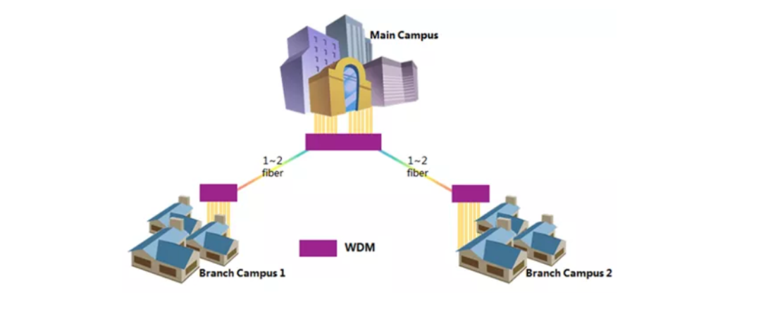 美国大学主校和分校有什么区别？和国内一样吗？“野鸡”大学风险高吗？