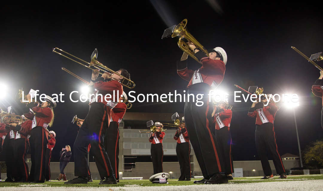 纽约州8所大学—2所常春藤、6所私立名校从排名到费用