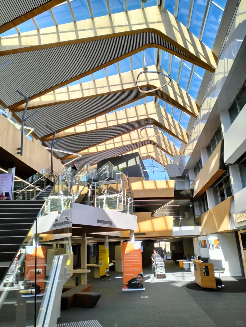 迪肯大学