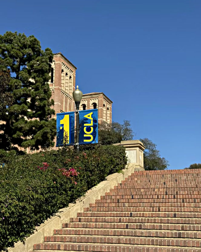 加州大学洛杉矶分校