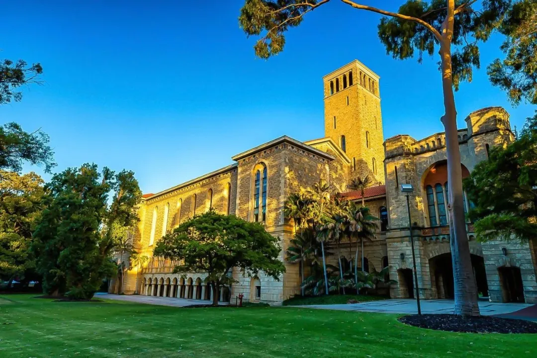 西澳大学