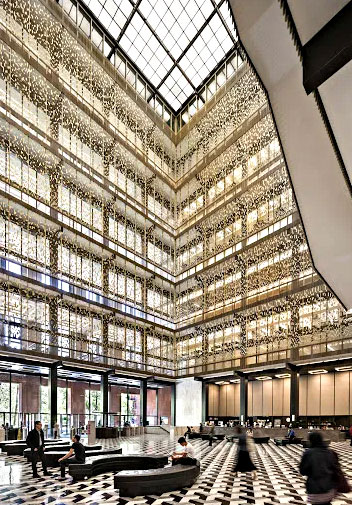 纽约大学