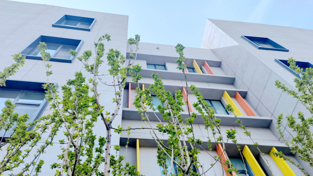 北京理工大学附属实验学校国际部