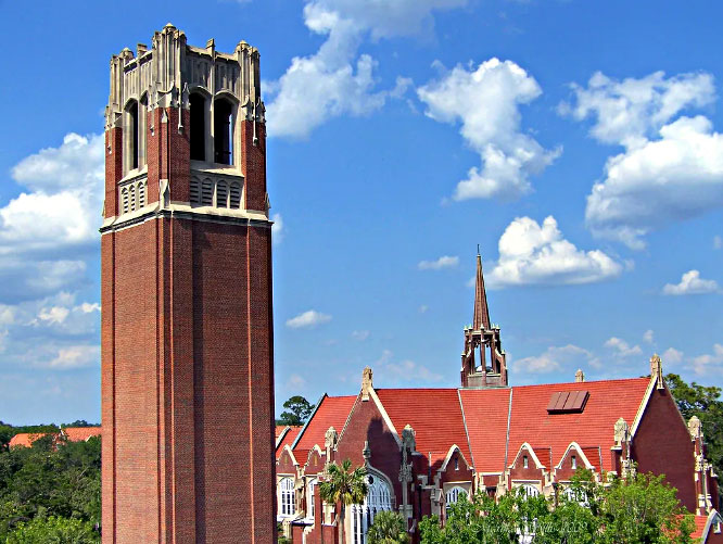 佛罗里达大学