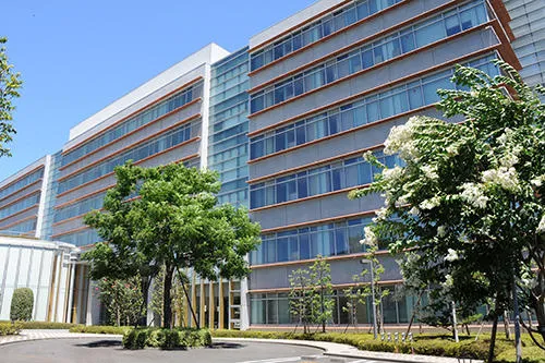 驹泽大学