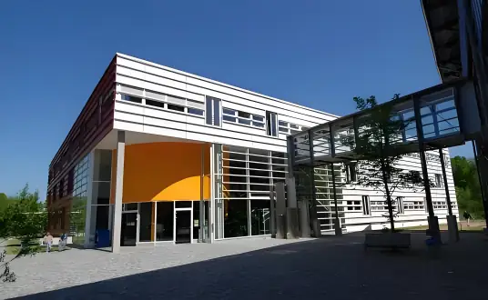 乌尔姆大学