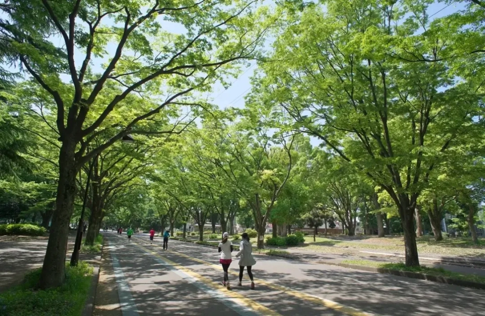 驹泽大学