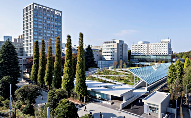 早稻田大学