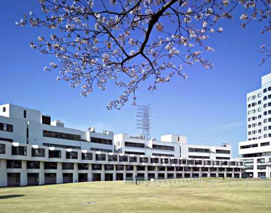 成蹊大学