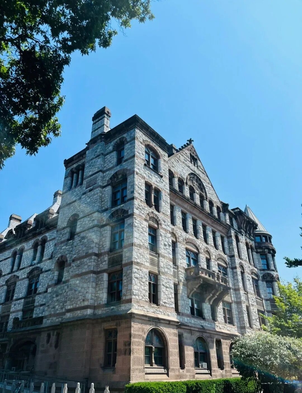 普林斯顿大学