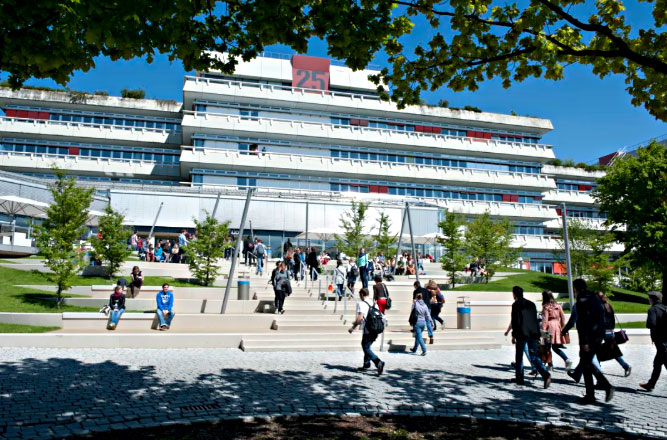 乌尔姆大学