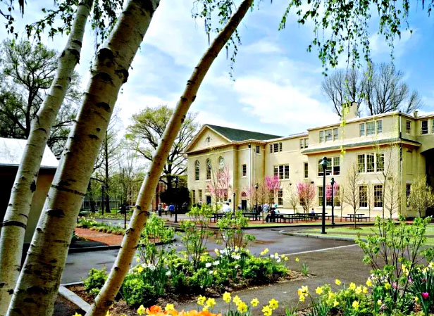 宾夕法尼亚大学