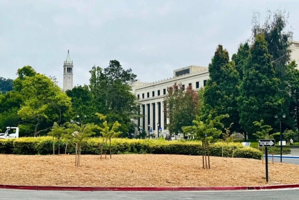 加州大学伯克利分校