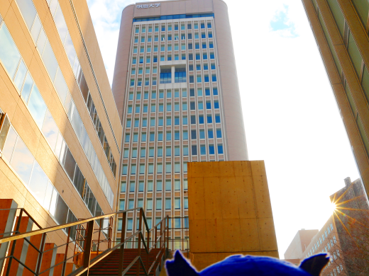 明治大学