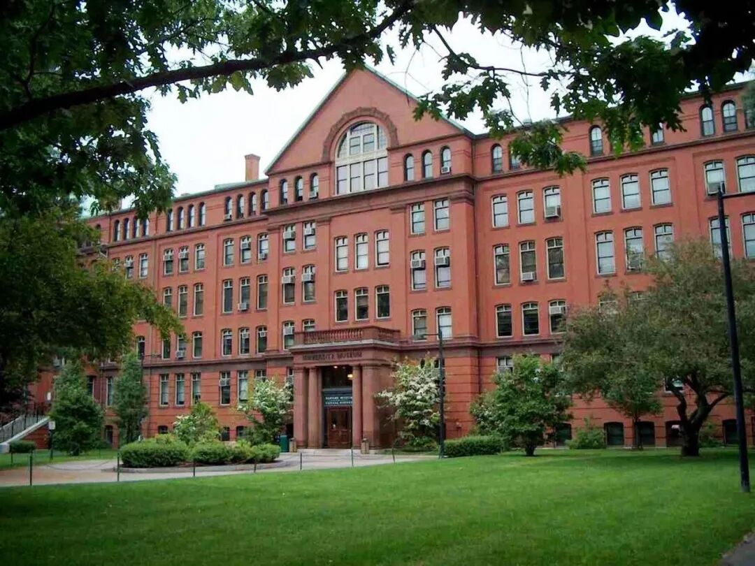 留学选校别再看综排，2026THE学科排名，这些美国大学才是专业王者