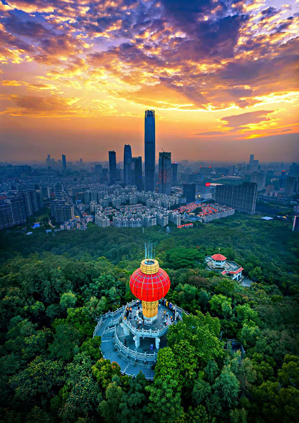 东莞国际学校