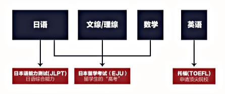 苏州吴江新教育学校国际班