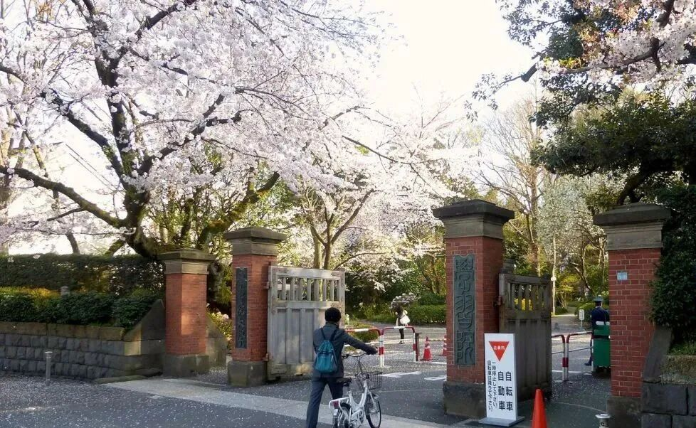 学习院大学