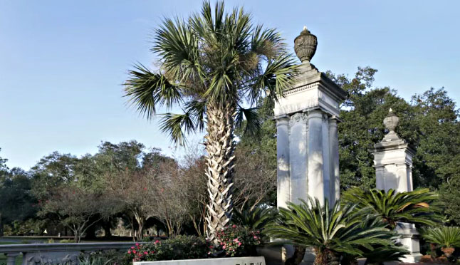 杜兰大学