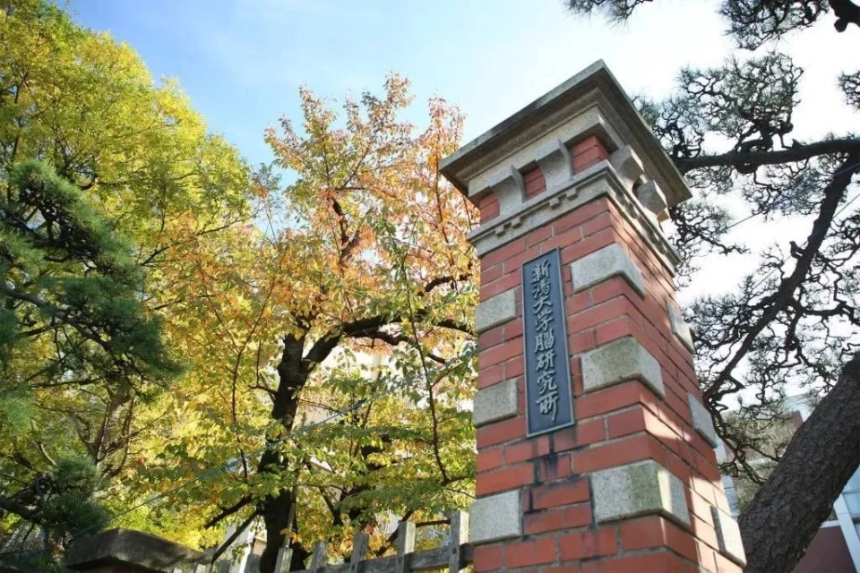 新潟大学