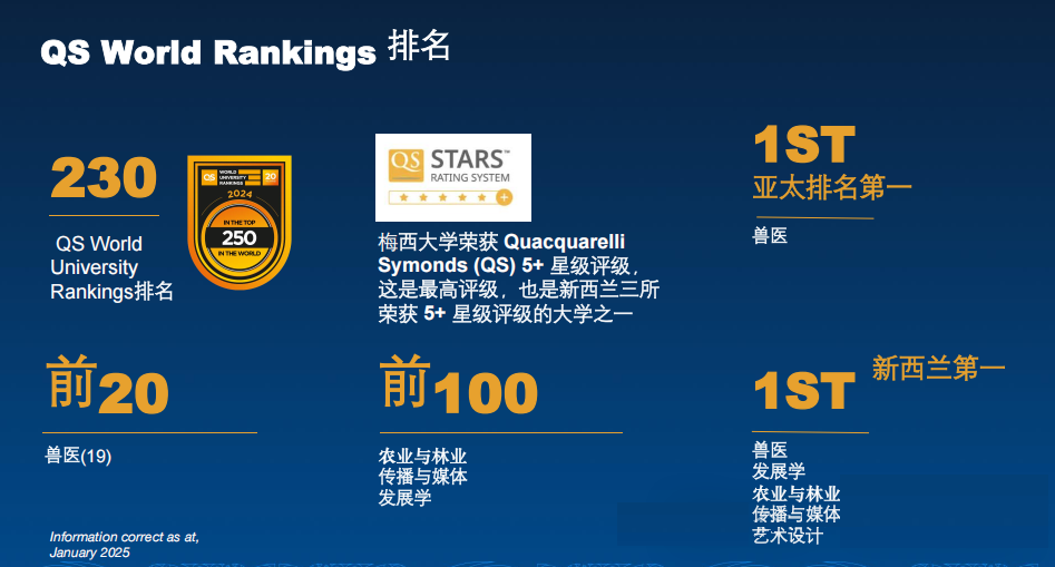 梅西大学