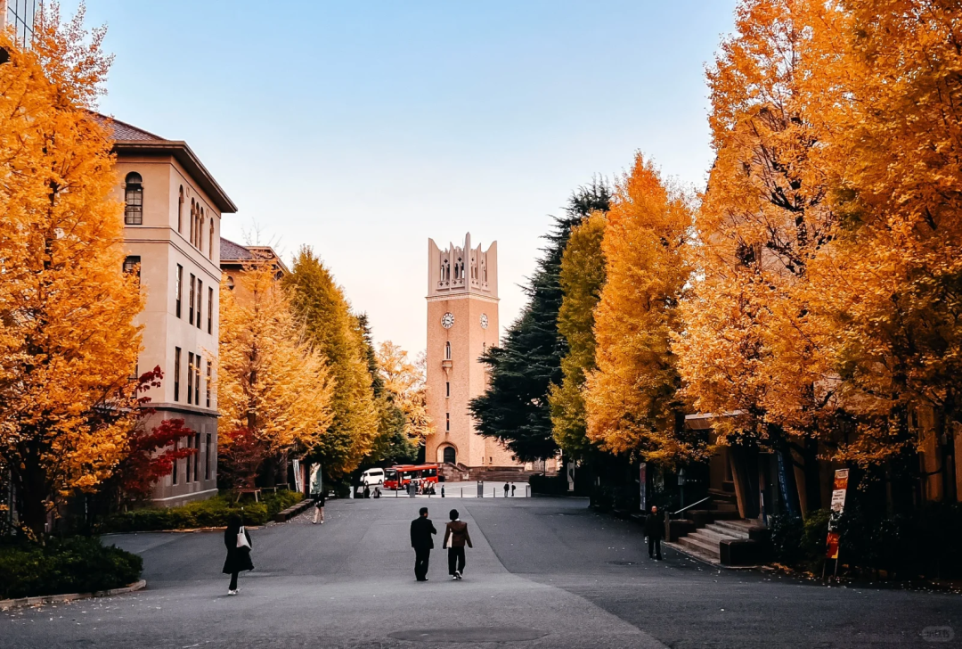 早稻田大学