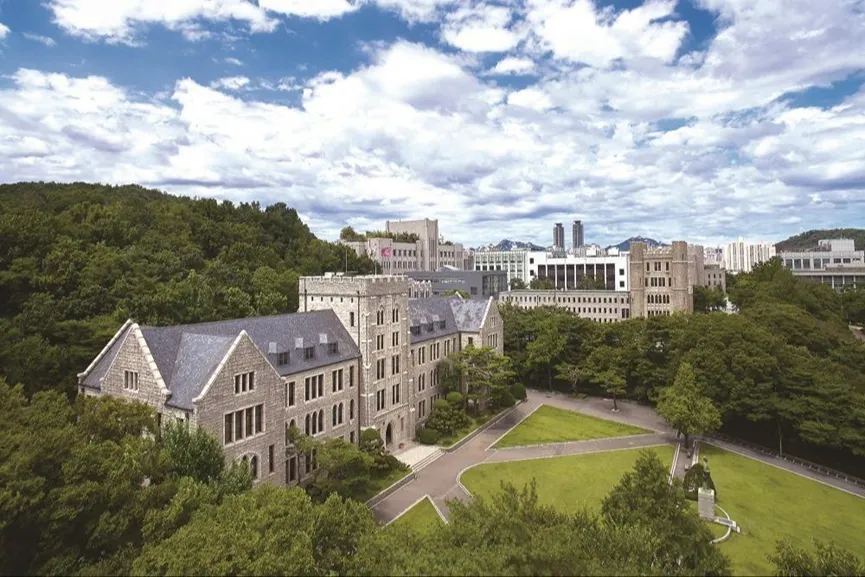 高丽大学
