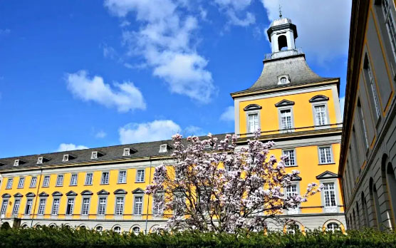 波恩大学