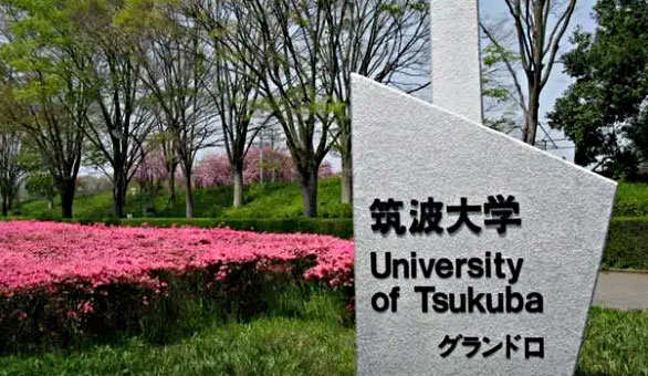 筑波大学