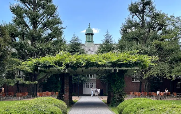 立教大学